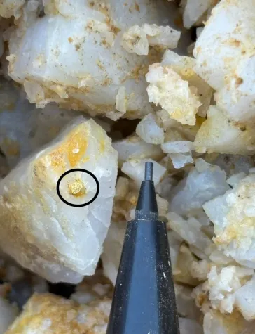 Bild: Golden Cariboo: Fortschrittliche Technologie für nächsten Explorationserfolg