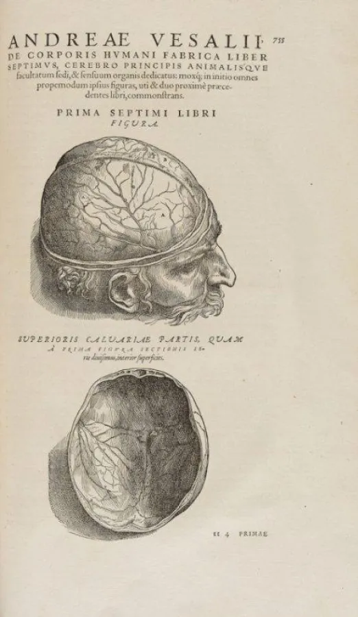 Vesalius, A., De humani corporis fabrica libri septem. Schätzung: ? 25.000.