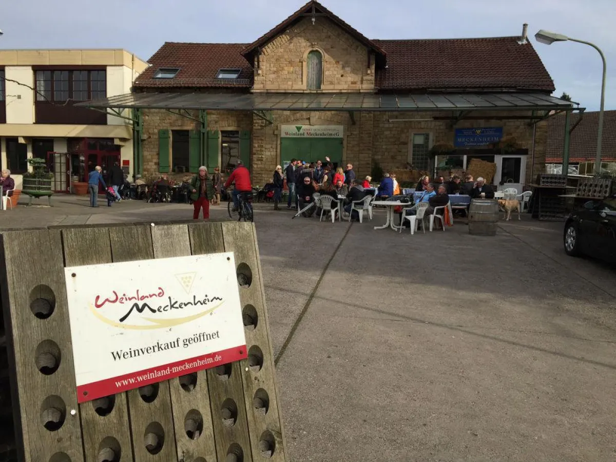 Das Weinland Meckenheim in der Pfalz