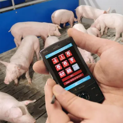 Bild: Neue Software – optimale Futterung, WEDA bringt Update fur Schweinehalter