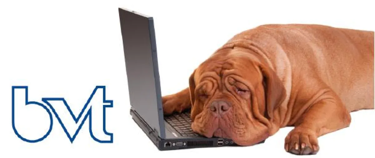 BVT verpasst Onlinekunden