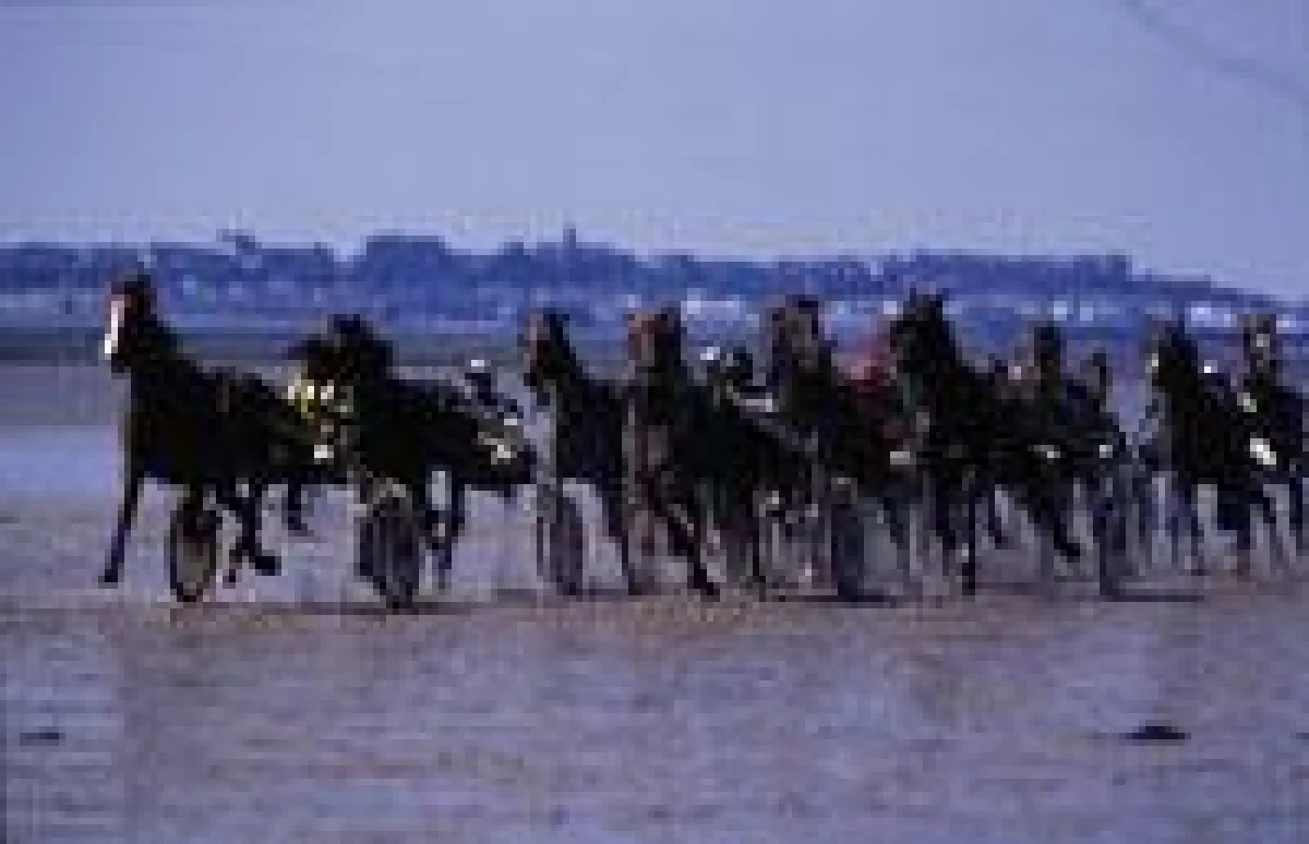 Ein Paradies (nicht nur) für Freunde des Pferdesports: die im Nordwesten am Ufer des Ärmelkanals gelegene Region Basse-Normandie.