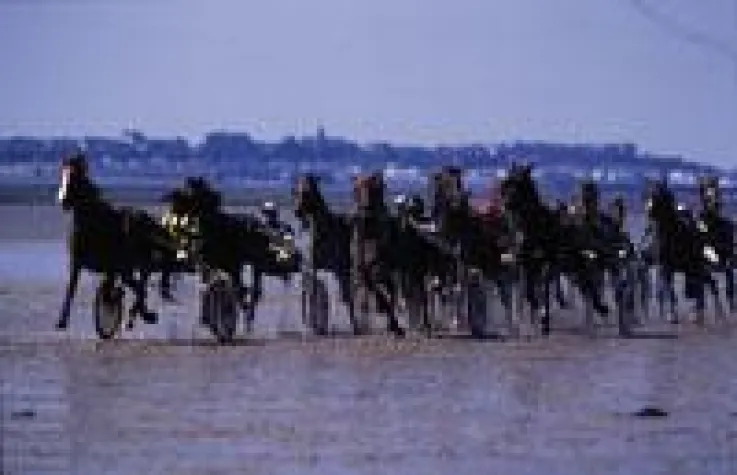 Bild: Die Normandie zu Gast auf den Weltreiterspielen in Lexington