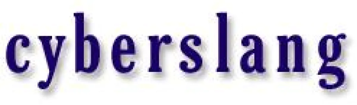 cyberslang.de - Die Sprache der Internet-Generation.
