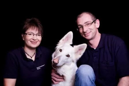 Bild: Tierisch gute Schimmelsuche mit Amy, der Schweizer Schäferhündin.