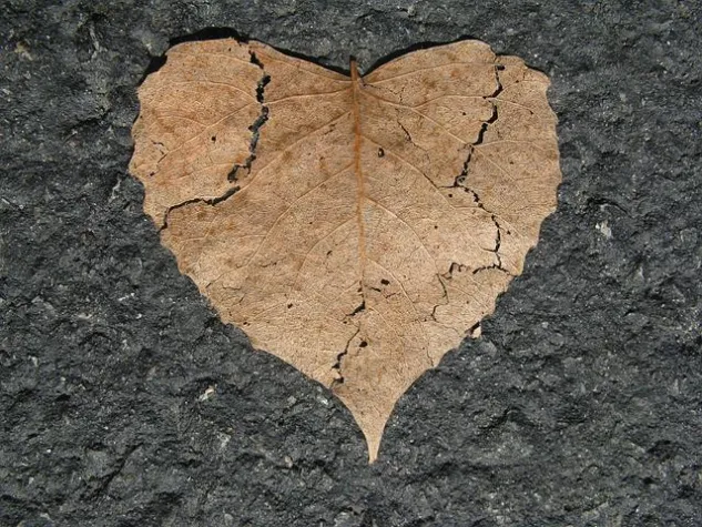 Bild: Scheidentrockenheit