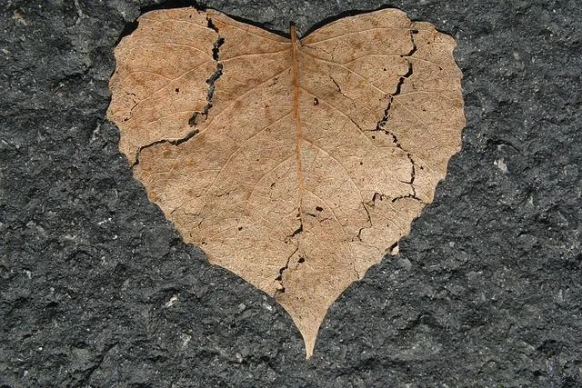 Bild: Scheidentrockenheit