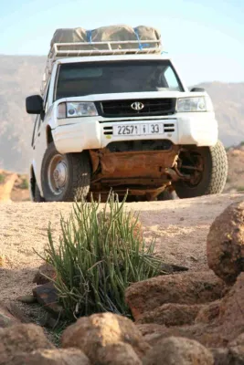 Bild: Landroverreise über Silvester in Marokko