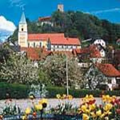 Bild: Ausflugsziel in Bayern der Felsenpark im Schlosspark Falkenstein