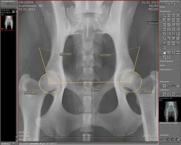 Bild: Oehm und Rehbein Bildmanagementsystem dicomPACS®vet überzeugt an einer der größten Universitäten Europas