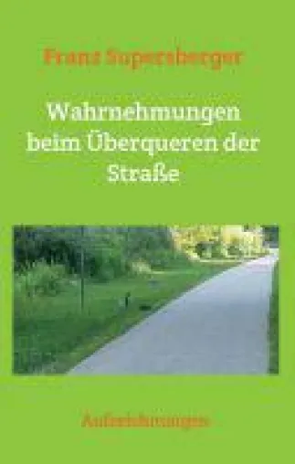 Bild: Wahrnehmungen beim Überqueren der Straße - Aufzeichnungen über menschliche Verhaltensweisen