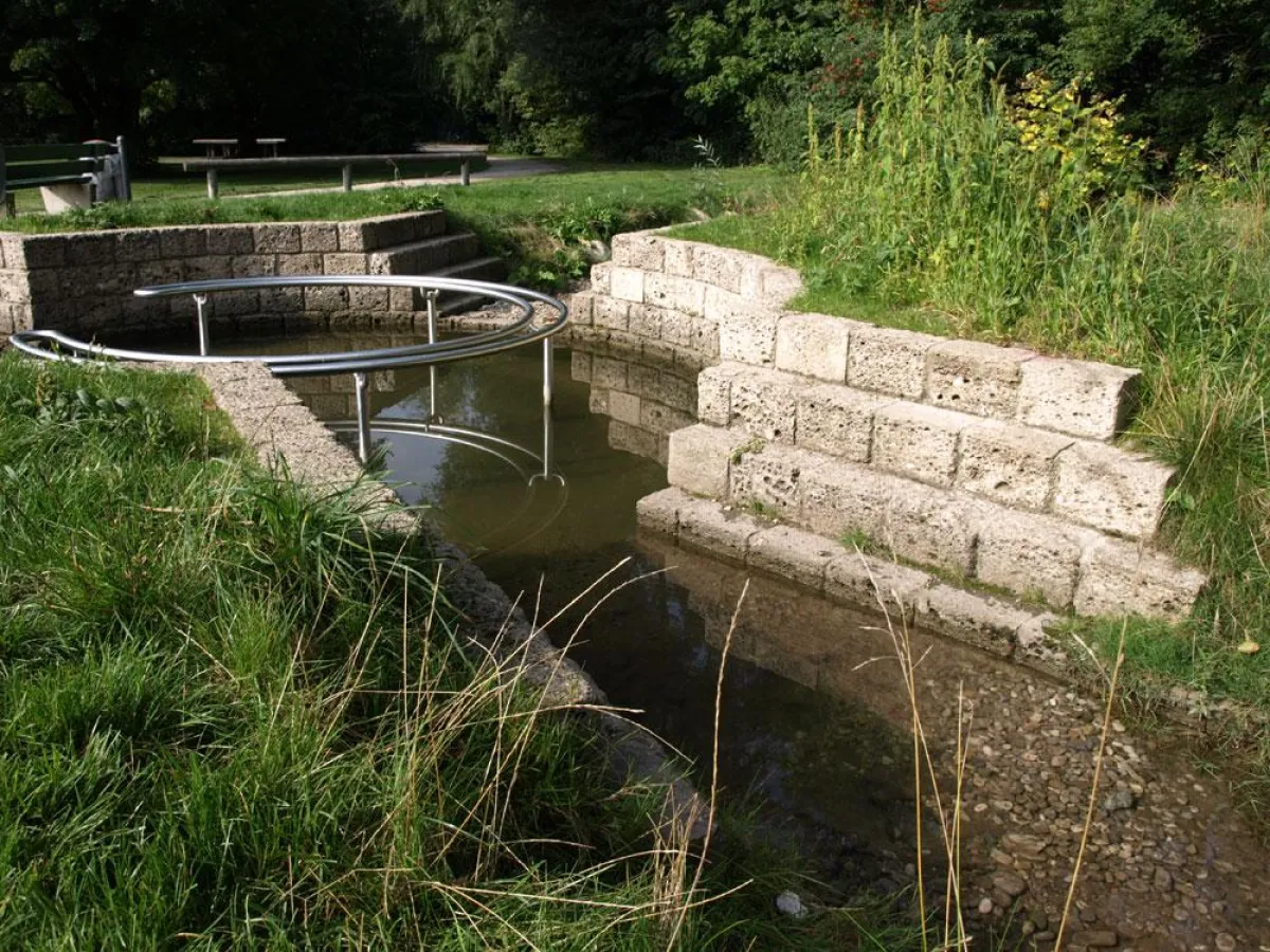 Eine stehende Brühe ohne Zu- und Abfluss macht das Kneippbecken an der Servetstraße zur Kloake.