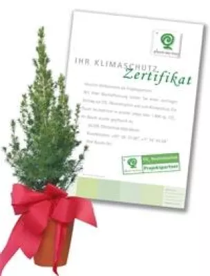 Bild: „Grünes Marketing“ für den Klimaschutz mit Reiter Revue International