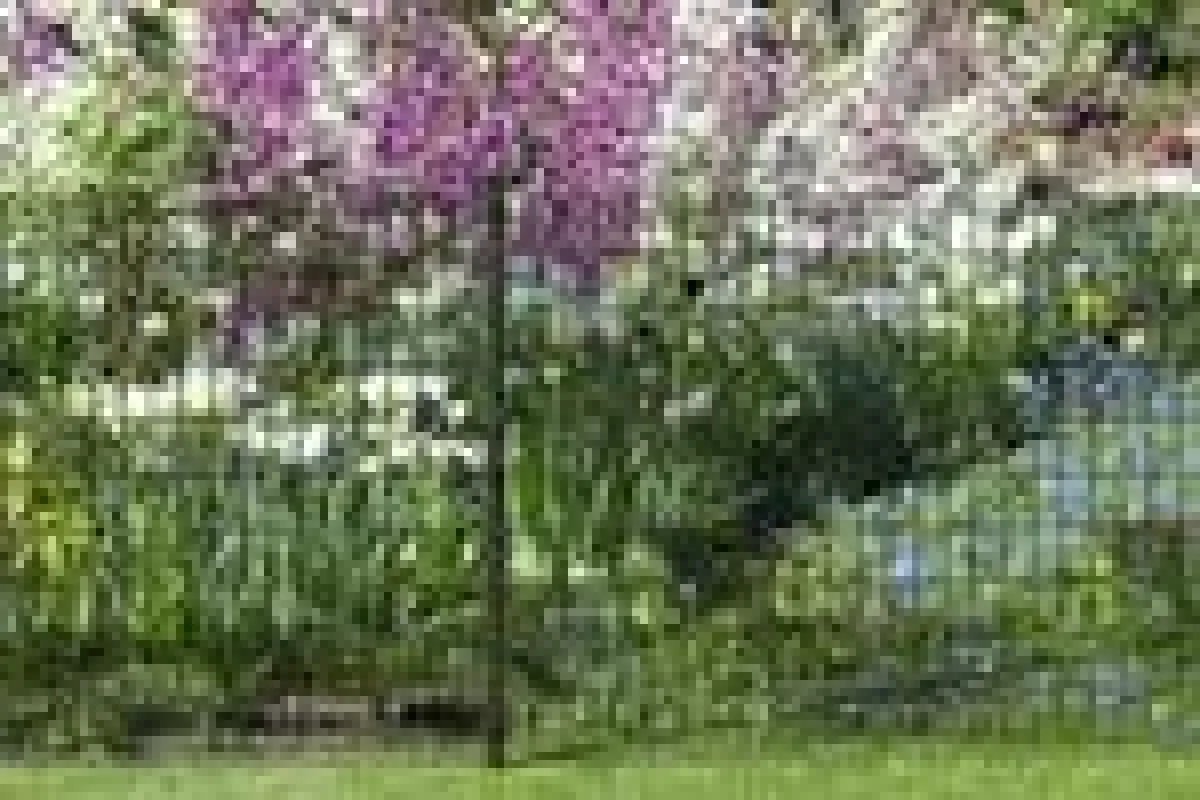 Von wegen Grau in Grau: Der Drahtzaun mit dem Fix-Clip pro-System in Anthrazit wirkt edel und hochwertig.