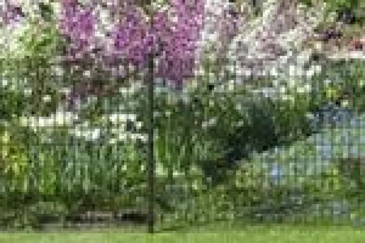 Bild: Edles Grau bringt Stil ins Grüne