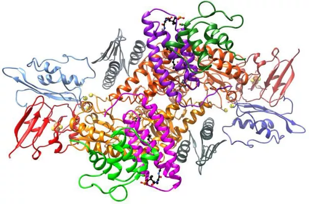 Kristallografie klärt Herstellung von Eisen-Schwefel-Clustern Bild: Kristallografie klärt Herstellung von Eisen-Schwefel-Clustern