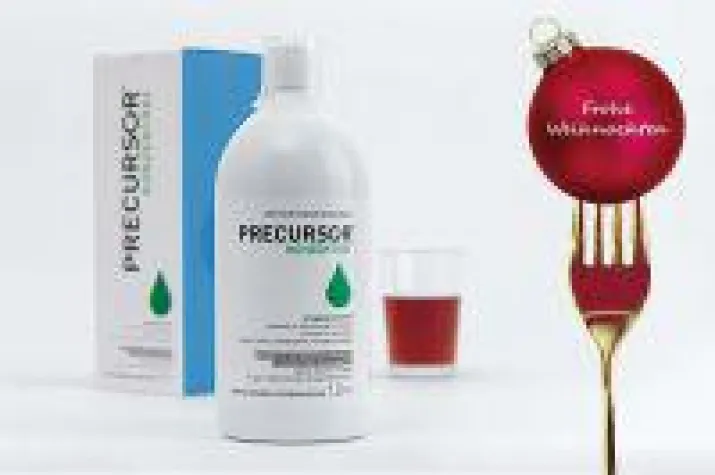 Bild: Precursor zur Weihnachtszeit