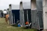 Bild: Pferd und Zubehör optimal versichern