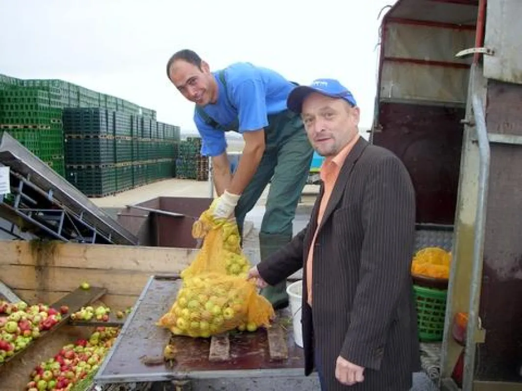Jürgen Stolz (li.) aus dem Dornstadter Ortsteil Bollingen liefert sein Streuobst in Machtolsheim ab. Firmenchef Dieter Burkhardt kontrolliert das Obst. Foto: up