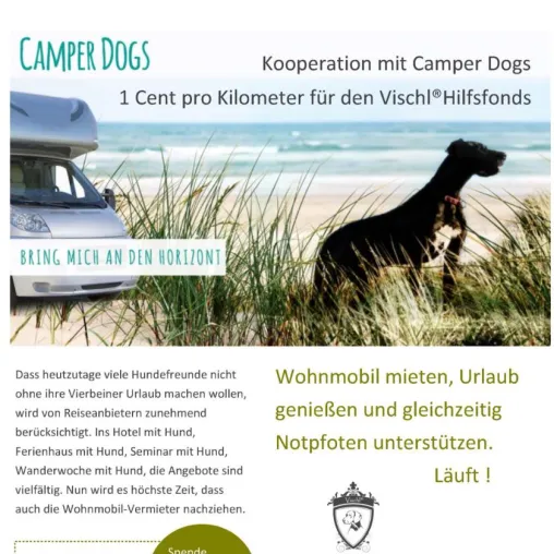 Wohnmobile fahren für den guten Zweck Bild: Wohnmobile fahren für den guten Zweck