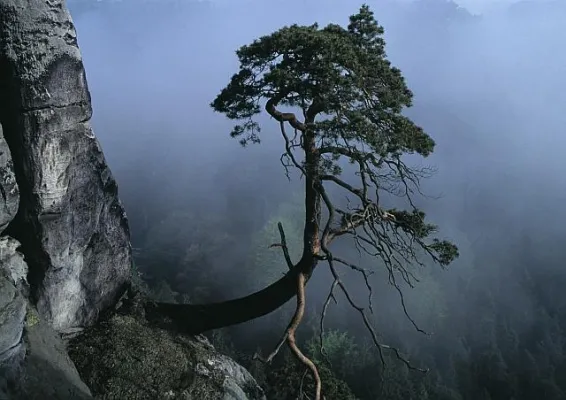 HORIZONTE IM SEHORT ERWEITERN Bild: HORIZONTE IM SEHORT ERWEITERN