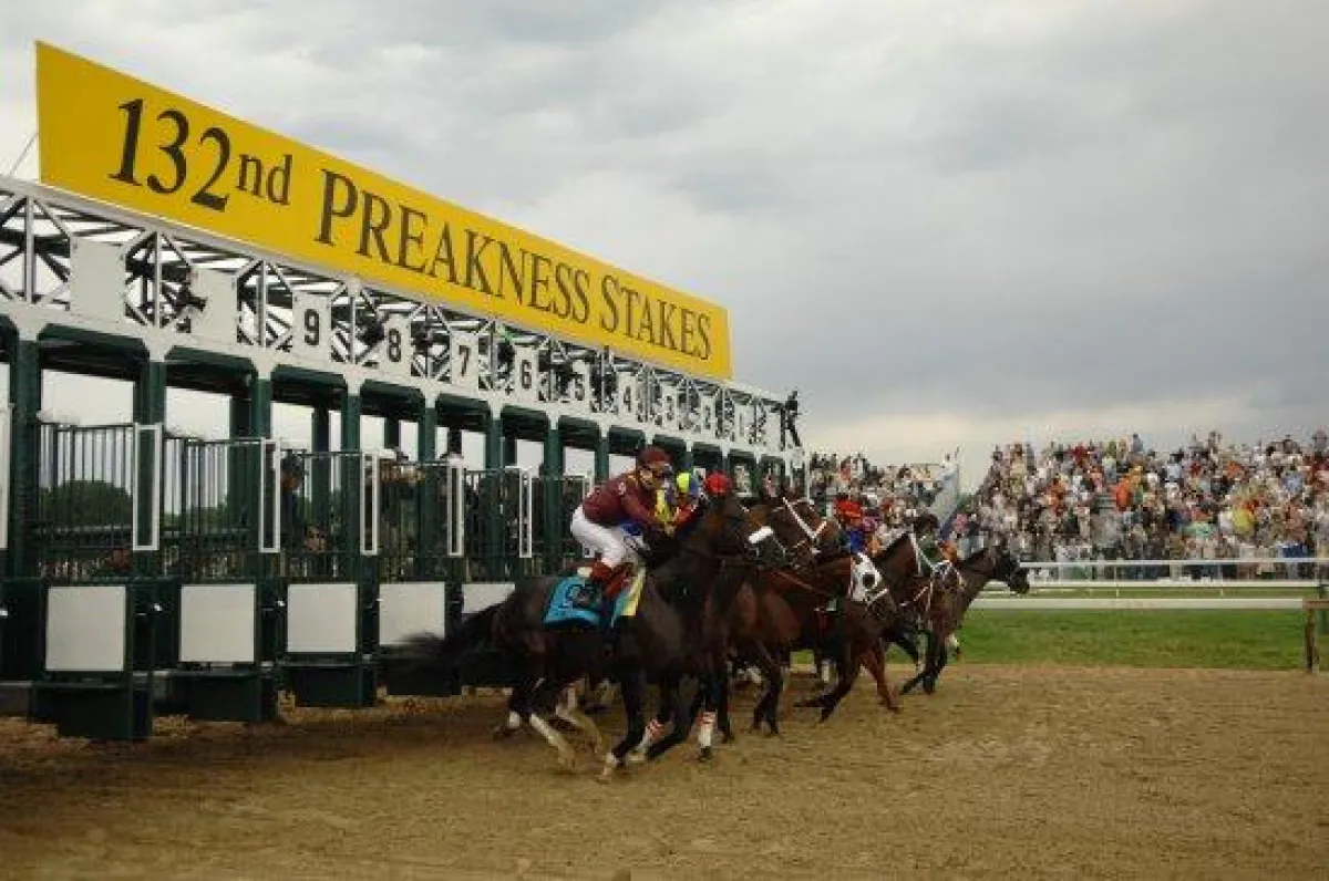 Big Brown - $ 1000.000 Jackpot bei den Preakness Stakes (photo by Middleton Evans)