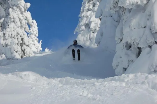 Tour de Peter durch den Schnee Bild: Tour de Peter durch den Schnee