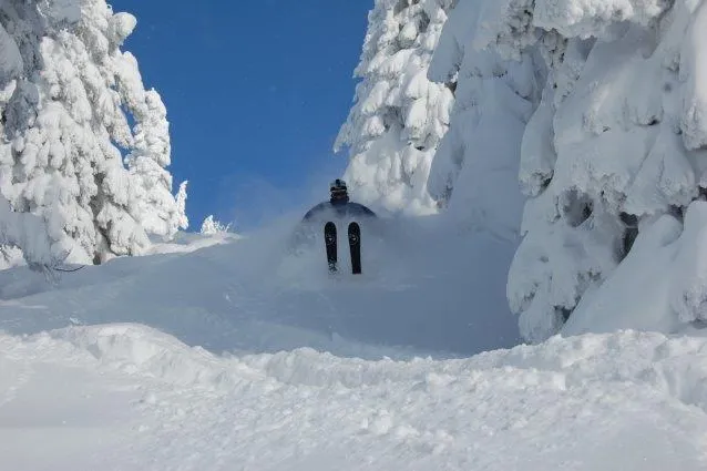 Tour de Peter durch den Schnee Bild: Tour de Peter durch den Schnee