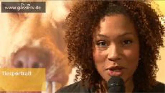 Poldi und Paula im Tierportrait Bild: Poldi und Paula im Tierportrait