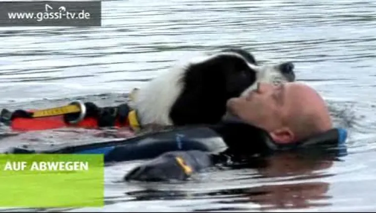 Bild: Wasserarbeit mit Landseern