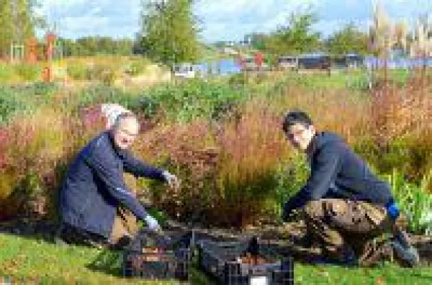 Bild: Insgesamt 21.000 neue Tulpen und Narzissen ergänzen die wundervolle Frühlingsbepflanzung im Seepark Zülpich