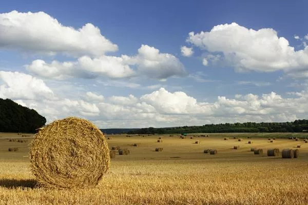 Bild: Besier Oehling und Hugendubel präsentieren: Wiesbadener Fotowettbewerb 2011 - Urlaubsimpressionen