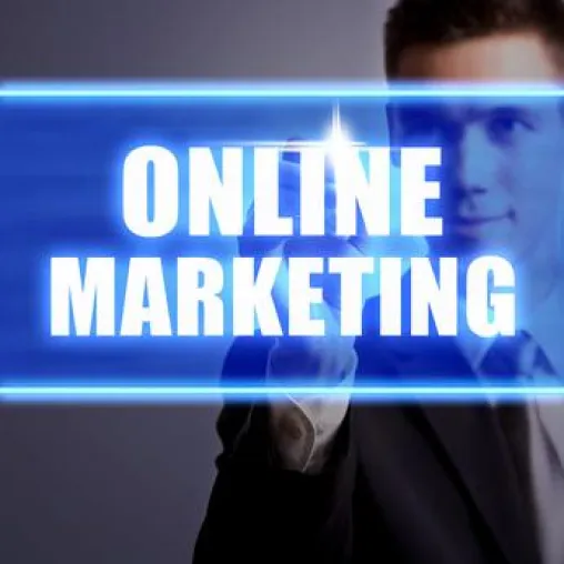 Bild: Online-Marketing-Manager 2013