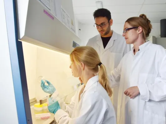 CAU-Wissenschaftlerin erhält EU-Förderung zur Entwicklung neuer Implantate Bild: CAU-Wissenschaftlerin erhält EU-Förderung zur Entwicklung neuer Implantate