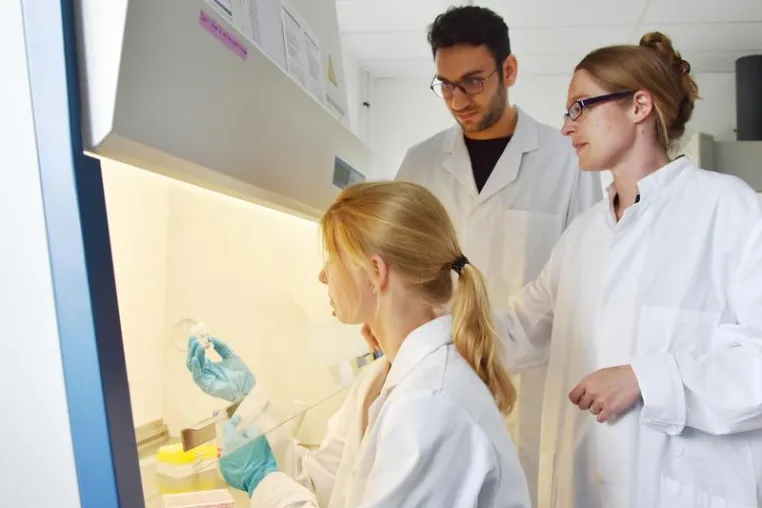 Bild: CAU-Wissenschaftlerin erhält EU-Förderung zur Entwicklung neuer Implantate