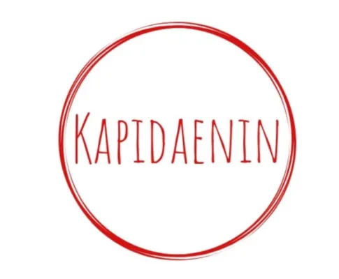 Bild: Dänemarkblog Kapidaenin wird 10 Jahre – Sibille Fuhrken präsentiert neues Buch