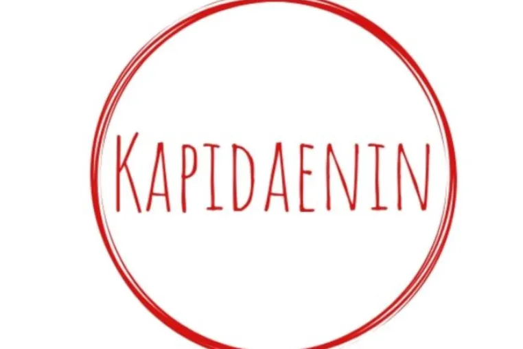Bild: Dänemarkblog Kapidaenin wird 10 Jahre – Sibille Fuhrken präsentiert neues Buch