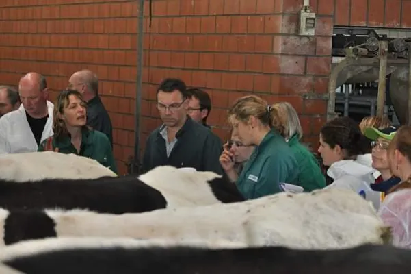 Bestandsbetreuung Milchviehherden: AVA-Workshop Fütterungsstrategien der Hochleistungskuh Bild: Bestandsbetreuung Milchviehherden: AVA-Workshop Fütterungsstrategien der Hochleistungskuh