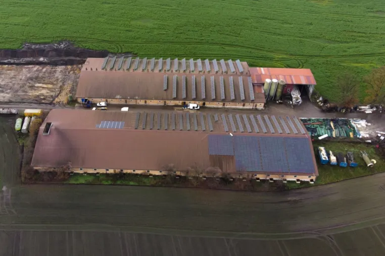 Deutsches Tierschutzbüro zeigt Schweinemäster und stellvertretenden CDU-Bürgermeister aus Merzen an Bild: Deutsches Tierschutzbüro zeigt Schweinemäster und stellvertretenden CDU-Bürgermeister aus Merzen an