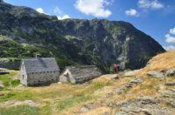 Bild: Die Wildnis ruft am Lago Maggiore