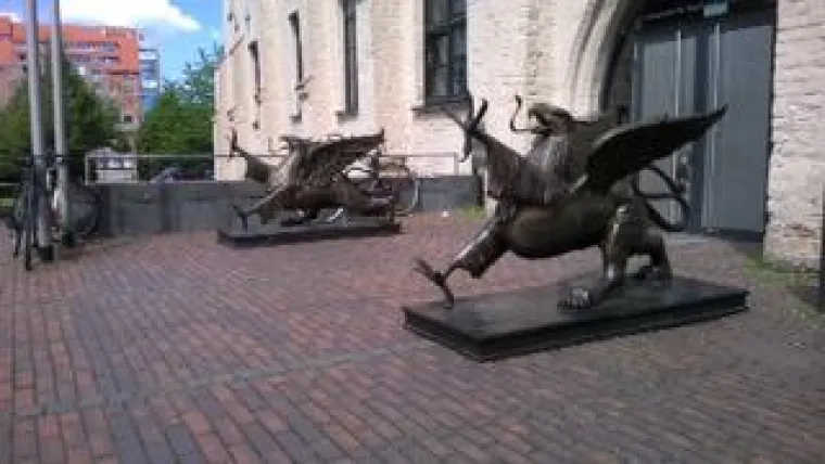 Rostocker Greifen suchen ein neues Zuhause Bild: Rostocker Greifen suchen ein neues Zuhause