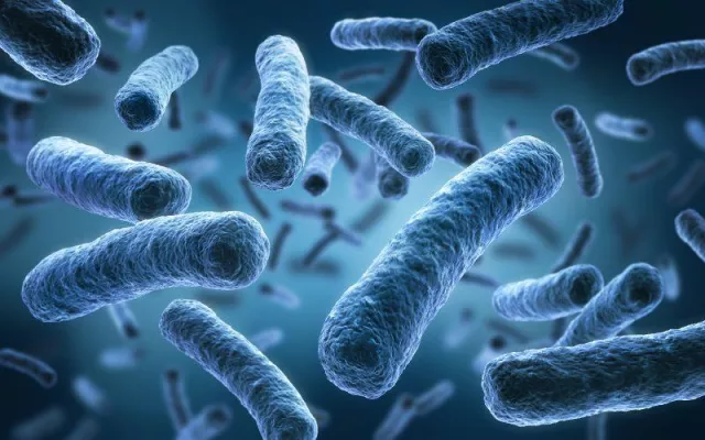 Bild: Legionellen: Erster "Mobiler Desinfektionsservice" gegen Legionellen in Frankfurt