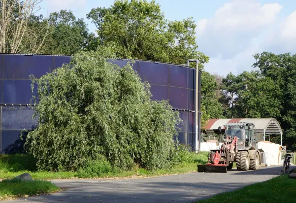 Einfacher Zusatz, große Wirkung: Kalkstickstoff senkt Methanemissionen aus Gülle deutlich Bild: Einfacher Zusatz, große Wirkung: Kalkstickstoff senkt Methanemissionen aus Gülle deutlich