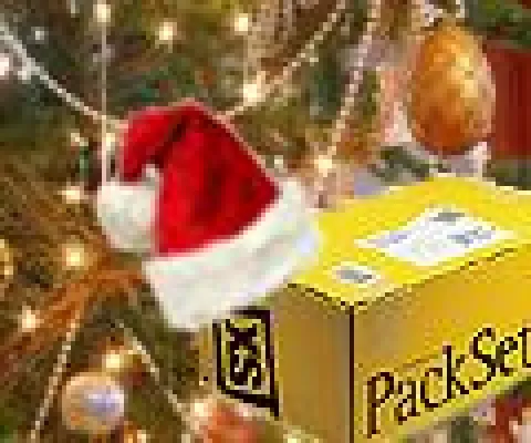 Bild: Weihnachtspakete rechtzeitig und günstig versenden