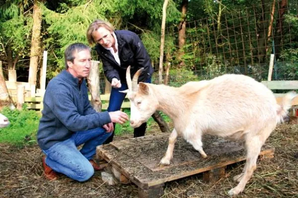 Bild: Euros für Scarlett, Hörnchen und Co.