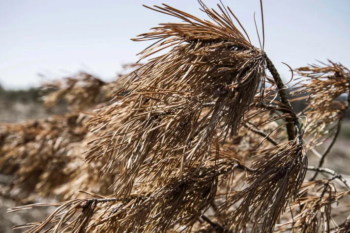 Fotoausstellung „Transformationen“ Bild: Fotoausstellung „Transformationen“