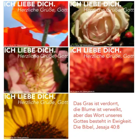 Blumengrüße von Gott?! Schöne e-cards zum Valentinstag Bild: Blumengrüße von Gott?! Schöne e-cards zum Valentinstag