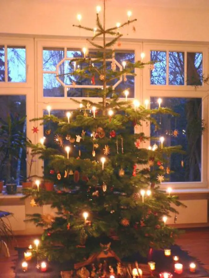 Nicht nur Kinderaugen strahlen beim Anblick dieses nostalgischen Weihnachtsbaumes, der von vielen Baumkerzen mit dem RAL-Gütezeichen in warmes Licht getaucht wird. Fotovermerk: Gütegemeinschaft Kerzen