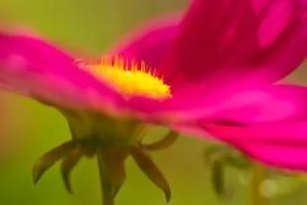 Bild: Schnupperkurs "Digitale Naturfotografie nur für Frauen"