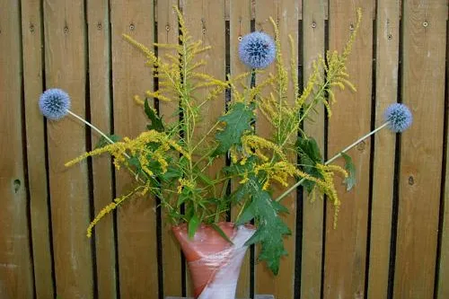 Bild: Blumenfächer - Fächervase - Vasenfächer